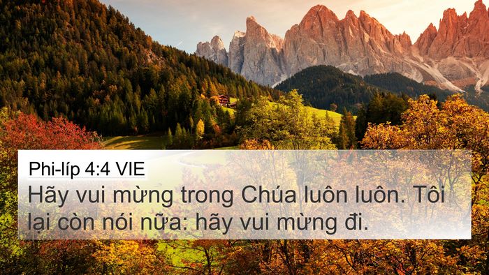 Phi-líp 4:4 VIE Bible Verse Image