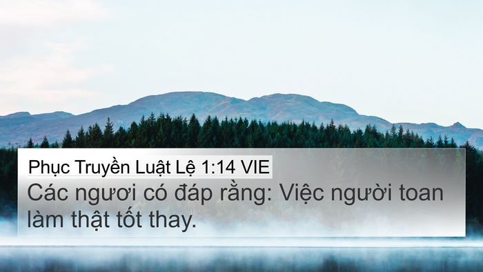 Phục Truyền Luật Lệ 1:14 VIE 4K Wallpaper - Các ngươi có đáp rằng: Việc người - 4K Wallpaper Bible Verse