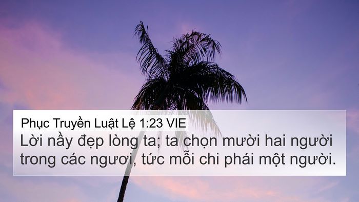 Phục Truyền Luật Lệ 1:23 VIE Bible Verse Image