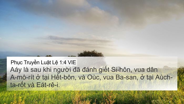 Phục Truyền Luật Lệ 1:4 VIE Bible Verse Image