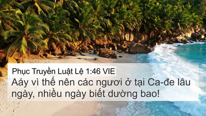 Phục Truyền Luật Lệ 1:46 VIE Bible Verse Image