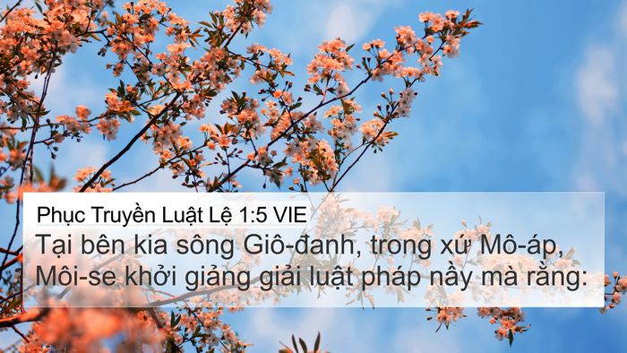 Phục Truyền Luật Lệ 1:5 VIE Bible Verse Image