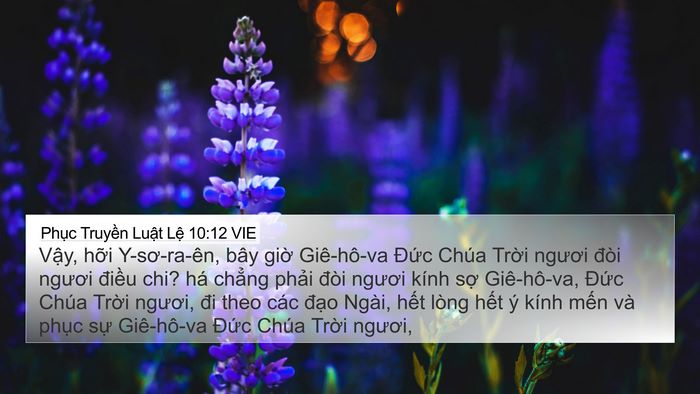 Phục Truyền Luật Lệ 10:12 VIE Bible Verse Image