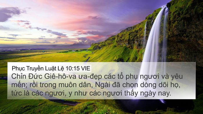 Phục Truyền Luật Lệ 10:15 VIE Bible Verse Image
