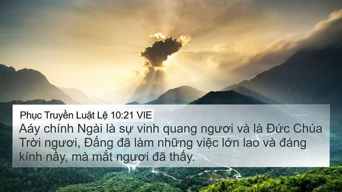 Phục Truyền Luật Lệ 10:21 VIE Bible Verse Image