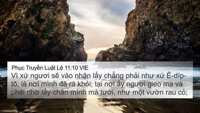 Phục Truyền Luật Lệ 11:10 VIE 4K Wallpaper - Vì xứ ngươi sẽ vào nhận lấy chẳng - 4K Wallpaper Bible Verse