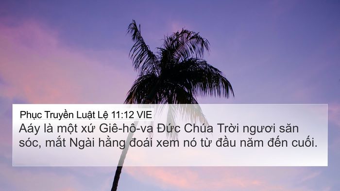 Phục Truyền Luật Lệ 11:12 VIE Bible Verse Image