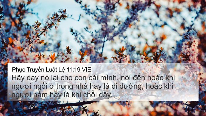 Phục Truyền Luật Lệ 11:19 VIE Bible Verse Image