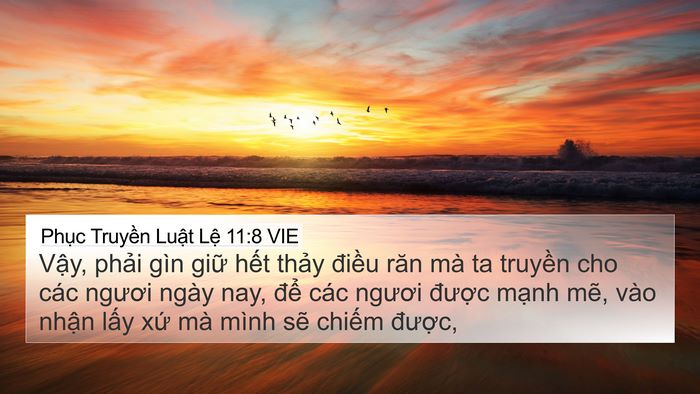 Phục Truyền Luật Lệ 11:8 VIE 4K Wallpaper - Vậy, phải gìn giữ hết thảy điều - 4K Wallpaper Bible Verse