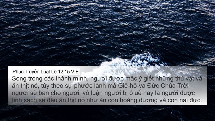 Phục Truyền Luật Lệ 12:15 VIE Bible Verse Image