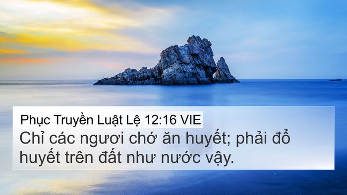 Phục Truyền Luật Lệ 12:16 VIE Bible Verse Image