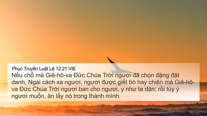 Phục Truyền Luật Lệ 12:21 VIE Bible Verse Image