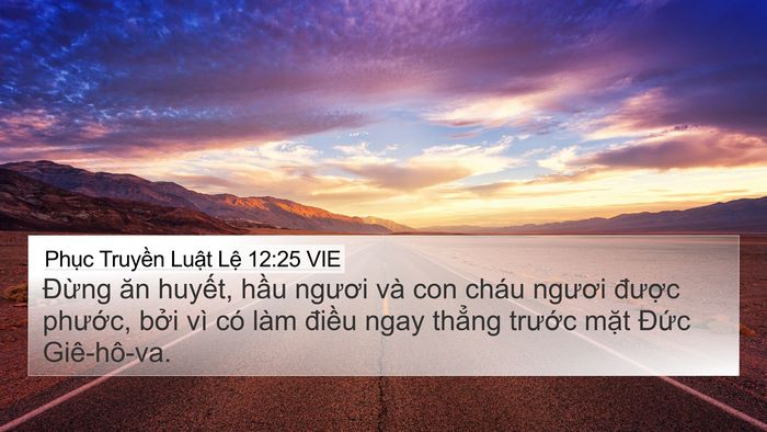 Phục Truyền Luật Lệ 12:25 VIE Bible Verse Image