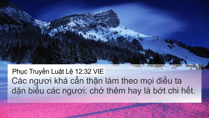 Phục Truyền Luật Lệ 12:32 VIE Bible Verse Image