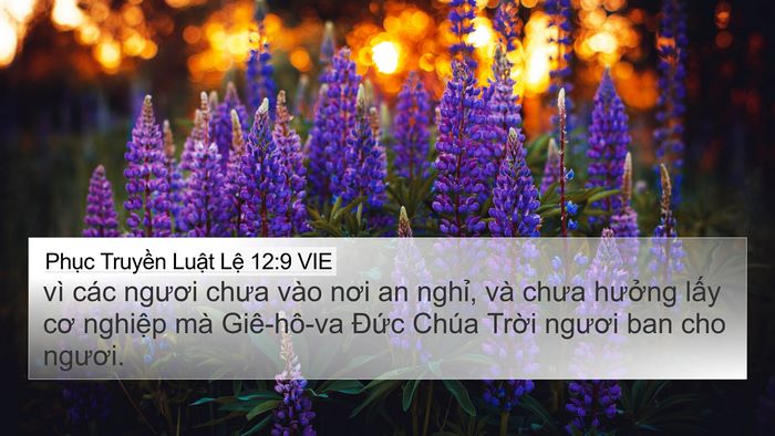 Phục Truyền Luật Lệ 12:9 VIE Bible Verse Image