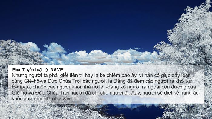 Phục Truyền Luật Lệ 13:5 VIE 4K Wallpaper - Nhưng người ta phải giết tiên tri hay - 4K Wallpaper Bible Verse