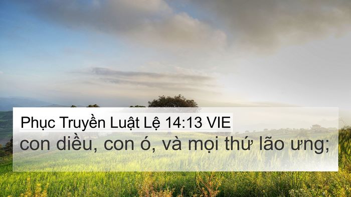 Phục Truyền Luật Lệ 14:13 VIE 4K Wallpaper - con diều, con ó, và mọi thứ lão - 4K Wallpaper Bible Verse