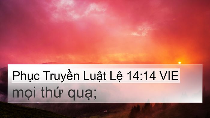 Phục Truyền Luật Lệ 14:14 VIE 4K Wallpaper - mọi thứ - 4K Wallpaper Bible Verse