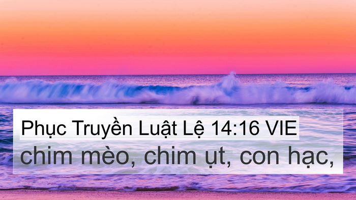 Phục Truyền Luật Lệ 14:16 VIE 4K Wallpaper - chim mèo, chim ụt, con - 4K Wallpaper Bible Verse