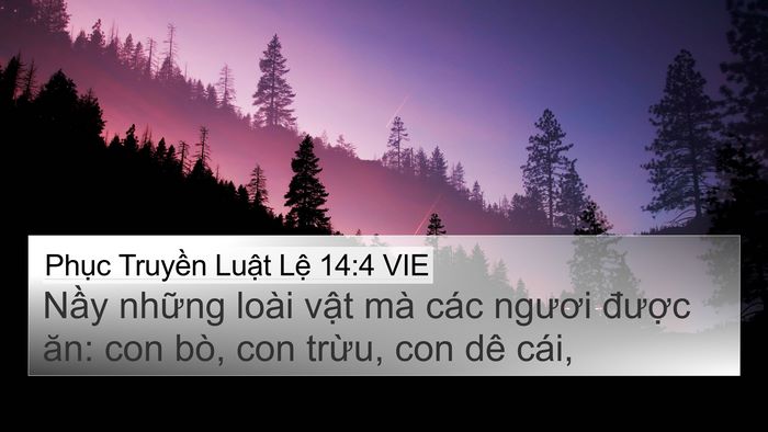 Phục Truyền Luật Lệ 14:4 VIE 4K Wallpaper - Nầy những loài vật mà các ngươi - 4K Wallpaper Bible Verse