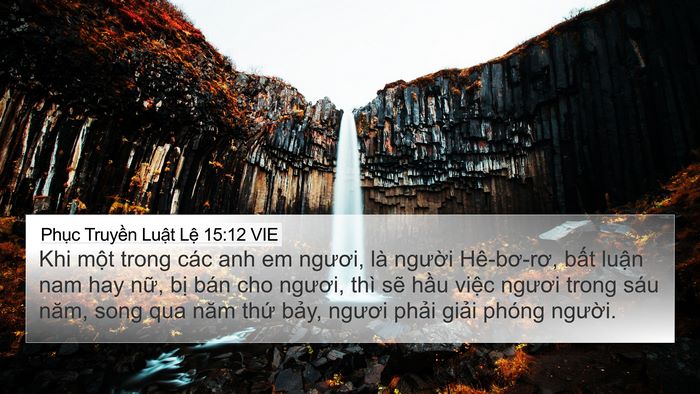 Phục Truyền Luật Lệ 15:12 VIE 4K Wallpaper - Khi một trong các anh em ngươi, là người - 4K Wallpaper Bible Verse