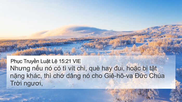 Phục Truyền Luật Lệ 15:21 VIE Bible Verse Image
