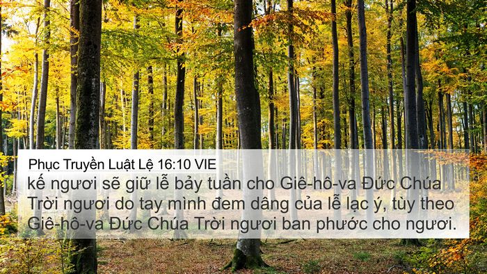 Phục Truyền Luật Lệ 16:10 VIE Bible Verse Image