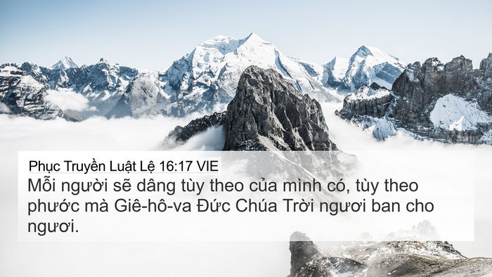 Phục Truyền Luật Lệ 16:17 VIE 4K Wallpaper - Mỗi người sẽ dâng tùy theo của mình - 4K Wallpaper Bible Verse