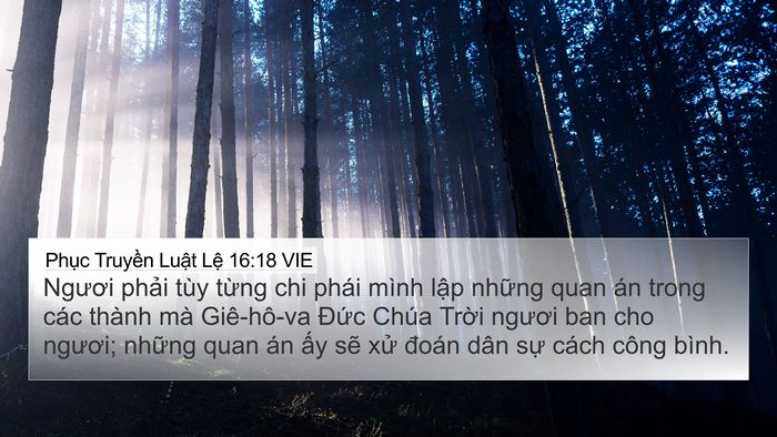 Phục Truyền Luật Lệ 16:18 VIE Bible Verse Image