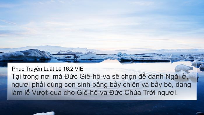 Phục Truyền Luật Lệ 16:2 VIE Bible Verse Image