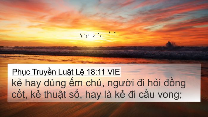 Phục Truyền Luật Lệ 18:11 VIE Bible Verse Image