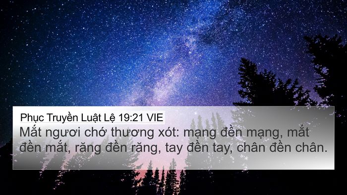 Phục Truyền Luật Lệ 19:21 VIE Bible Verse Image