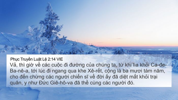 Phục Truyền Luật Lệ 2:14 VIE Bible Verse Image