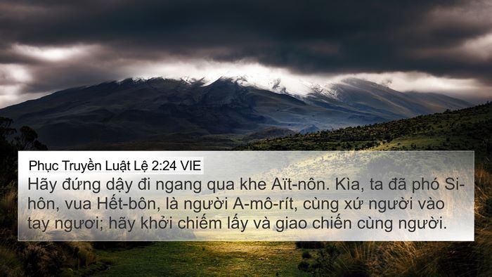 Phục Truyền Luật Lệ 2:24 VIE Bible Verse Image