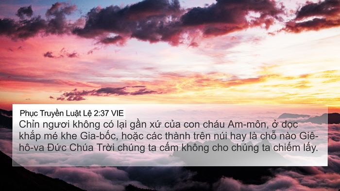 Phục Truyền Luật Lệ 2:37 VIE Bible Verse Image