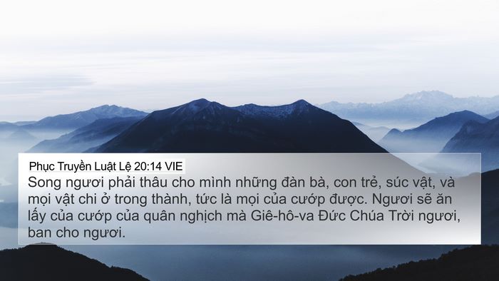 Phục Truyền Luật Lệ 20:14 VIE Bible Verse Image