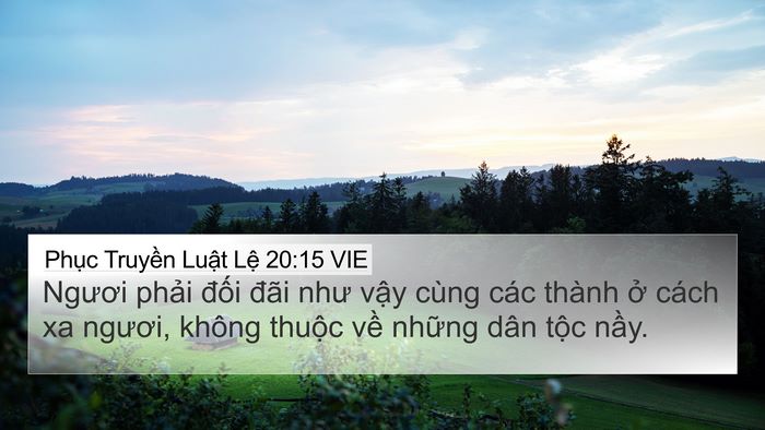 Phục Truyền Luật Lệ 20:15 VIE 4K Wallpaper - Ngươi phải đối đãi như vậy cùng các - 4K Wallpaper Bible Verse