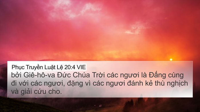 Phục Truyền Luật Lệ 20:4 VIE Bible Verse Image