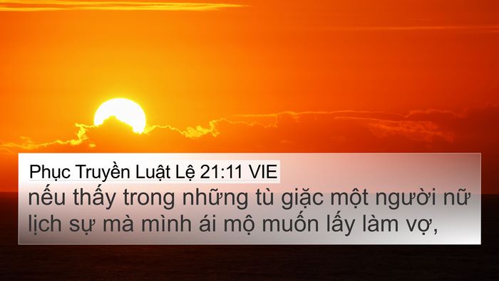 Phục Truyền Luật Lệ 21:11 VIE 4K Wallpaper - nếu thấy trong những tù giặc một - 4K Wallpaper Bible Verse