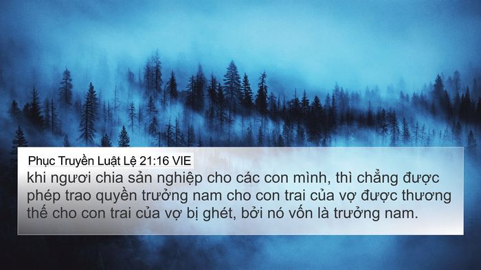 Phục Truyền Luật Lệ 21:16 VIE Bible Verse Image
