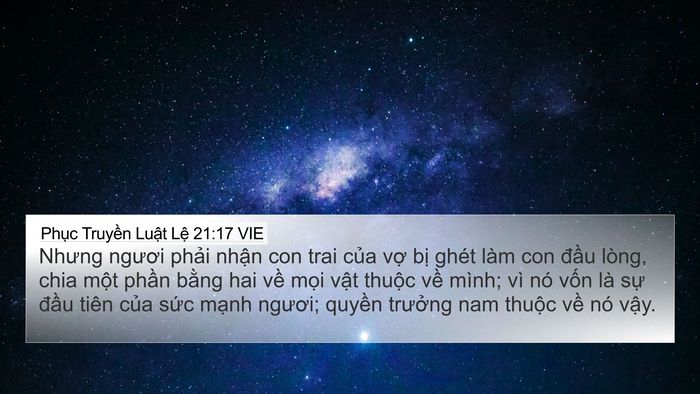 Phục Truyền Luật Lệ 21:17 VIE Bible Verse Image