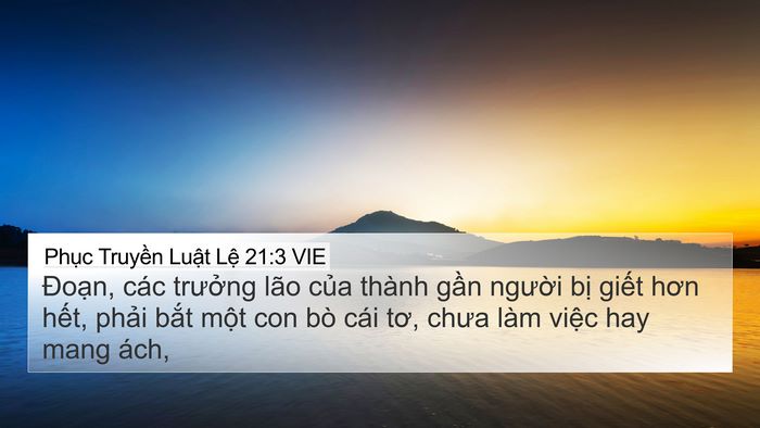 Phục Truyền Luật Lệ 21:3 VIE 4K Wallpaper - Đoạn, các trưởng lão của thành gần - 4K Wallpaper Bible Verse