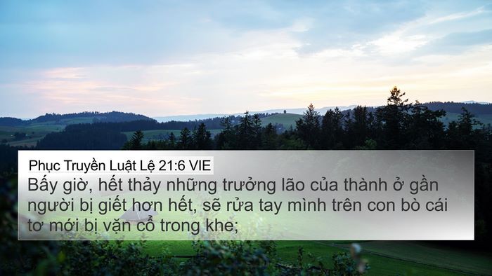 Phục Truyền Luật Lệ 21:6 VIE Bible Verse Image