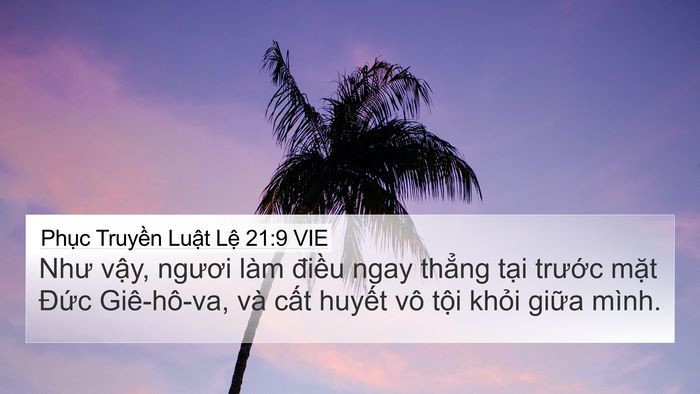 Phục Truyền Luật Lệ 21:9 VIE Bible Verse Image