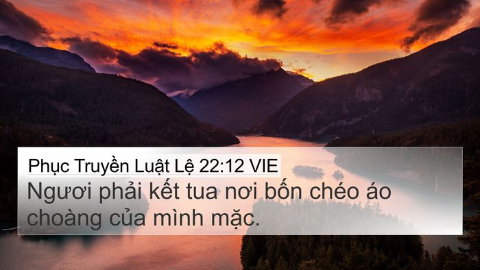 Phục Truyền Luật Lệ 22:12 VIE Bible Verse Image