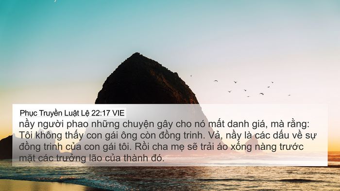 Phục Truyền Luật Lệ 22:17 VIE 4K Wallpaper - nầy người phao những chuyện gây cho nó - 4K Wallpaper Bible Verse