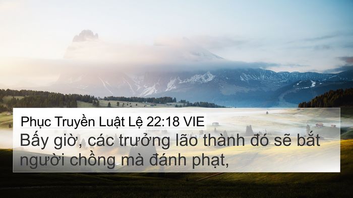 Phục Truyền Luật Lệ 22:18 VIE 4K Wallpaper - Bấy giờ, các trưởng lão thành đó sẽ - 4K Wallpaper Bible Verse