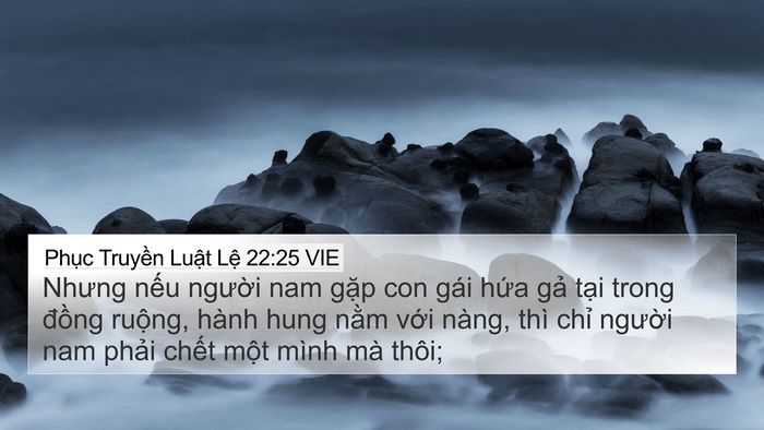 Phục Truyền Luật Lệ 22:25 VIE Bible Verse Image
