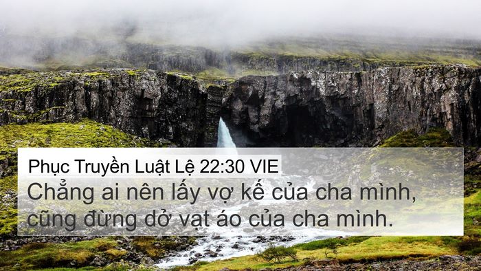 Phục Truyền Luật Lệ 22:30 VIE Bible Verse Image