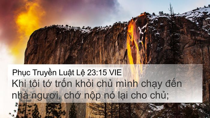Phục Truyền Luật Lệ 23:15 VIE 4K Wallpaper - Khi tôi tớ trốn khỏi chủ mình chạy - 4K Wallpaper Bible Verse